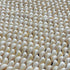 creamy white cowrie shells 1 kg